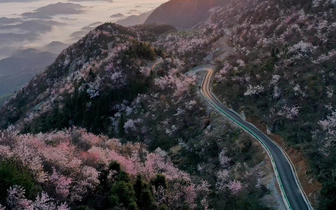 bbin·宝盈游戏(中国集团)官方网站首页