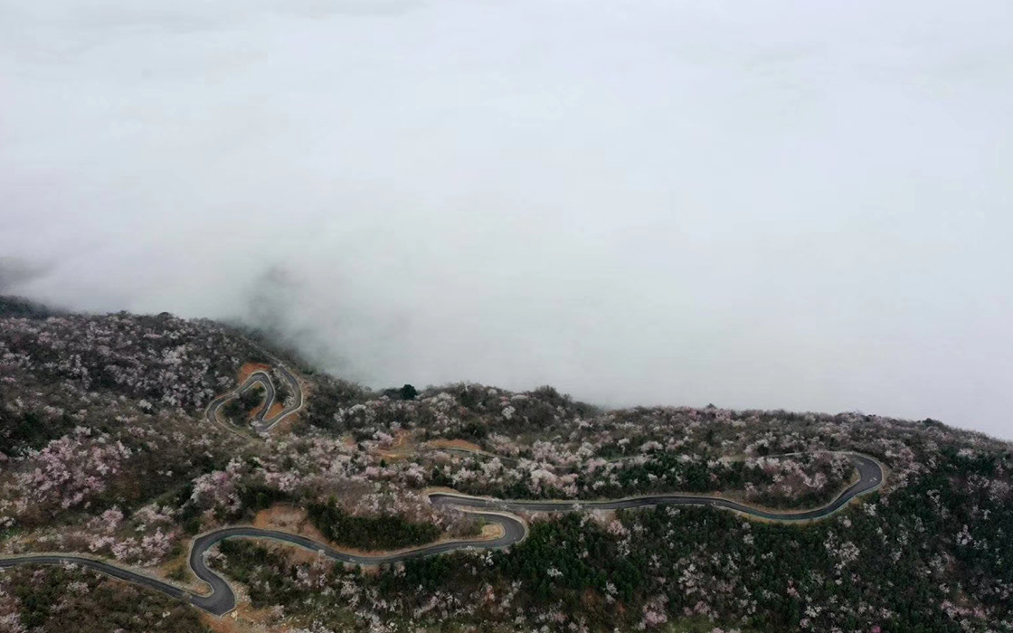 bbin·宝盈游戏(中国集团)官方网站首页