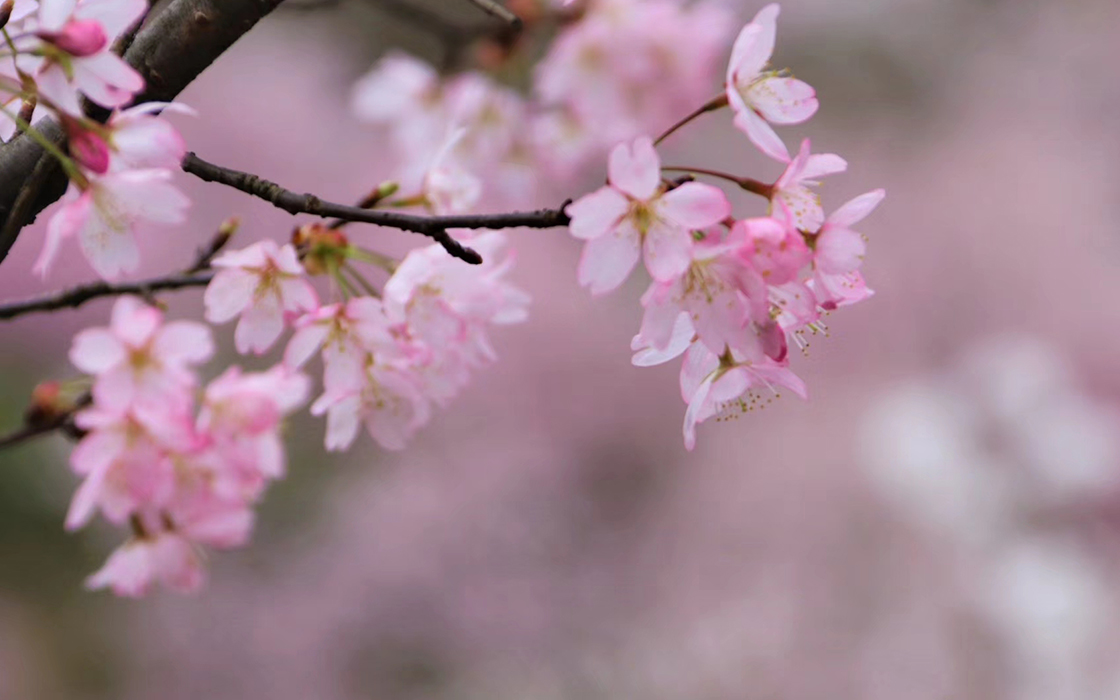 bbin·宝盈游戏(中国集团)官方网站首页