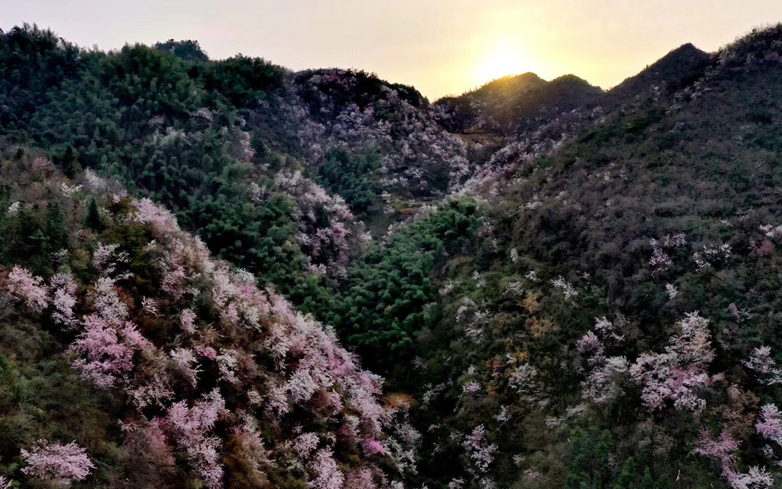 bbin·宝盈游戏(中国集团)官方网站首页