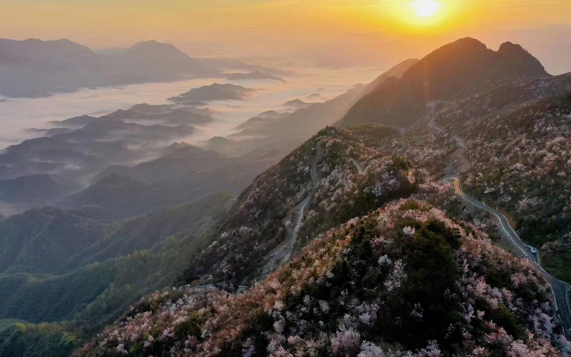 bbin·宝盈游戏(中国集团)官方网站首页