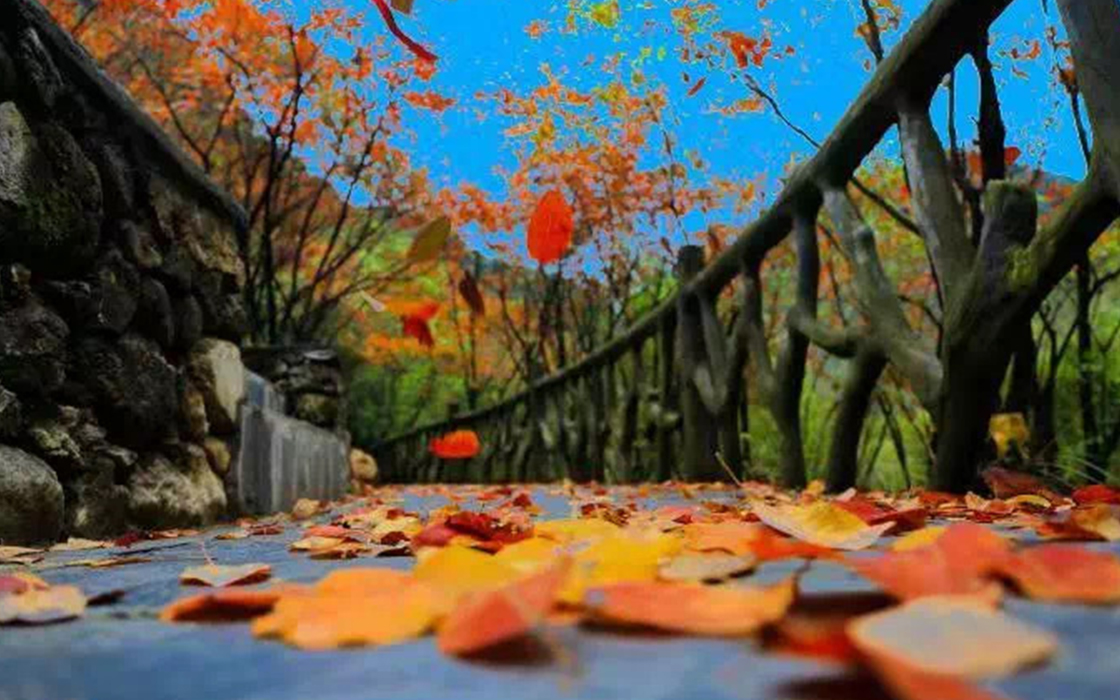 bbin·宝盈游戏(中国集团)官方网站首页