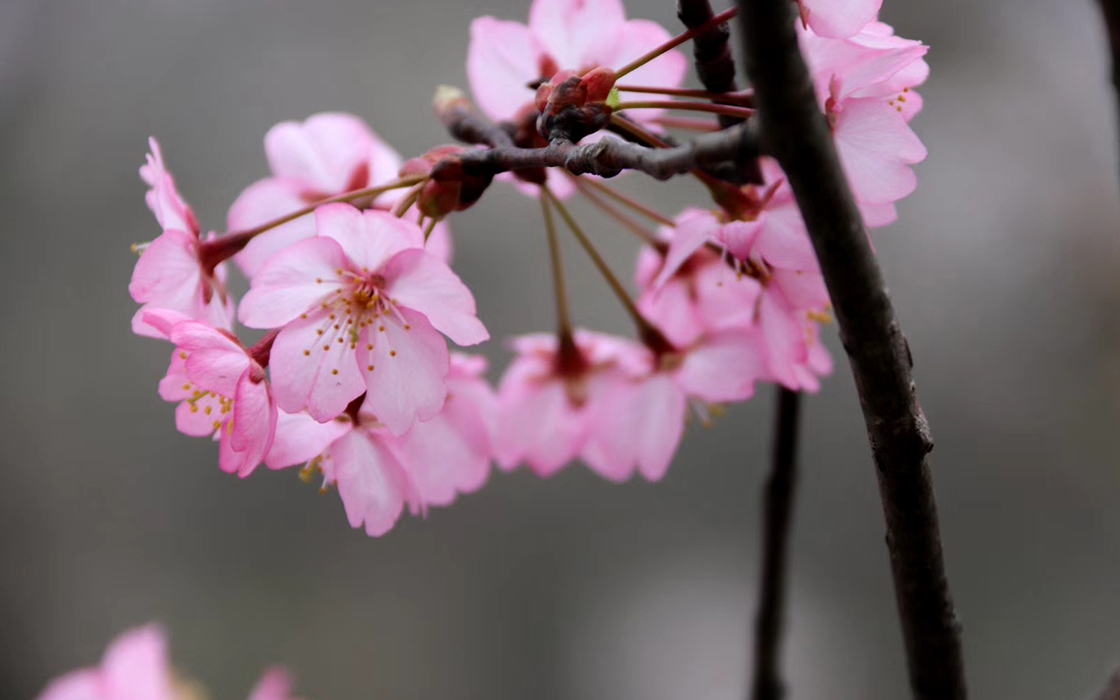 bbin·宝盈游戏(中国集团)官方网站首页