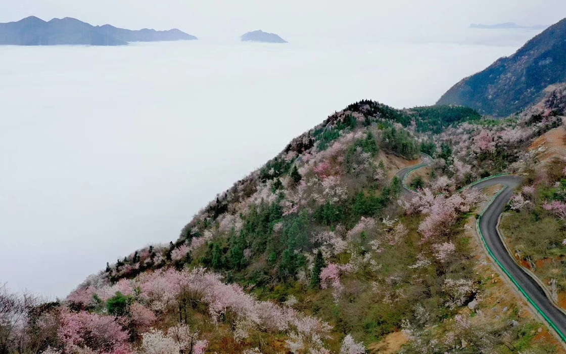 bbin·宝盈游戏(中国集团)官方网站首页