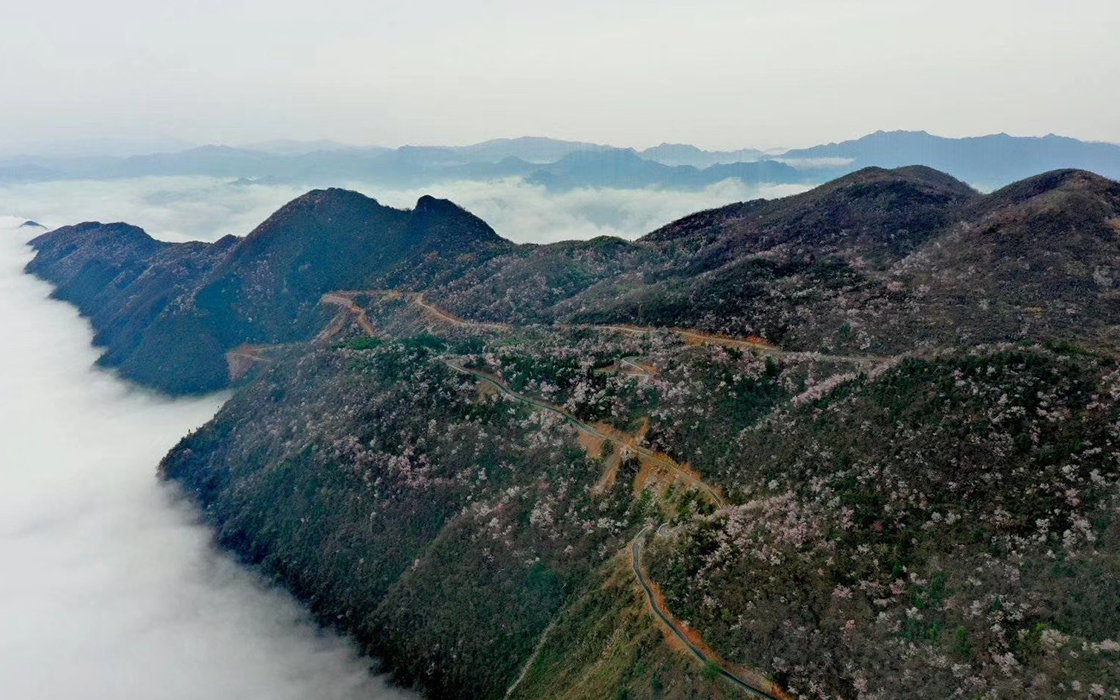 bbin·宝盈游戏(中国集团)官方网站首页