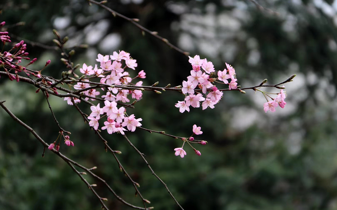 bbin·宝盈游戏(中国集团)官方网站首页