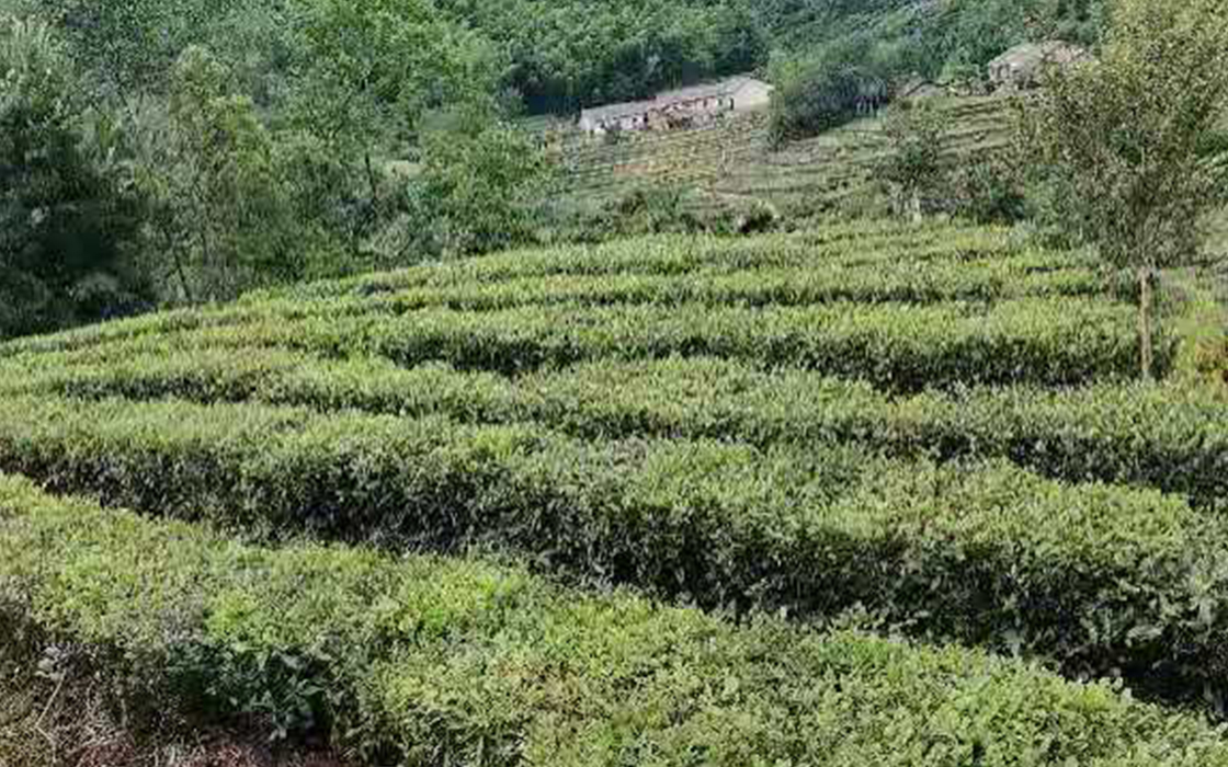 bbin·宝盈游戏(中国集团)官方网站首页