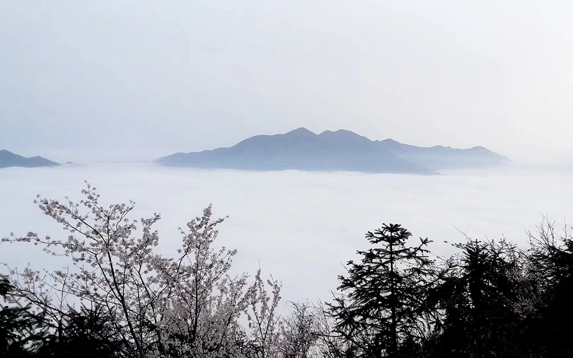 bbin·宝盈游戏(中国集团)官方网站首页