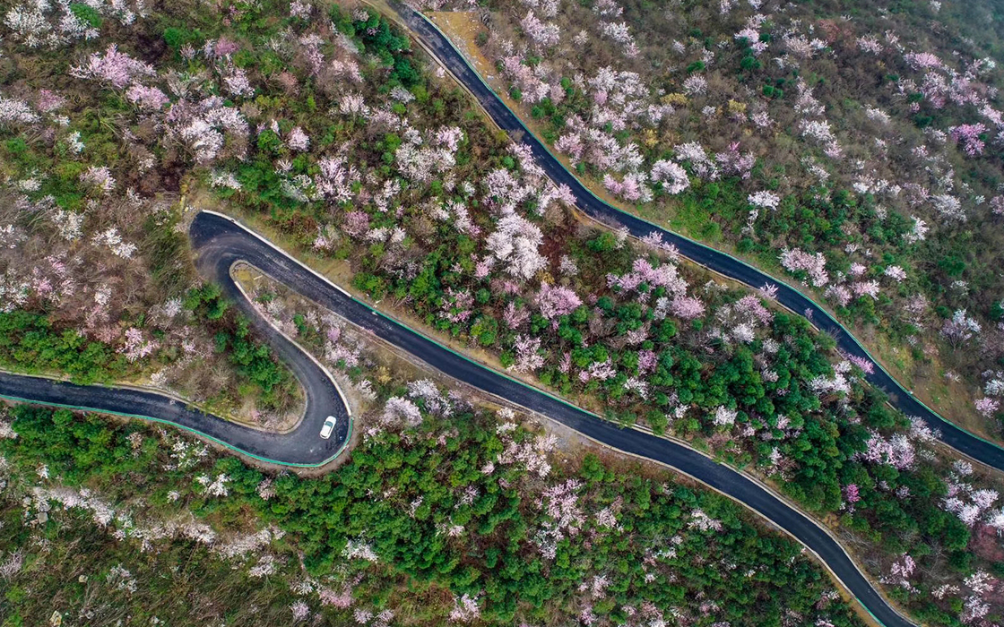 bbin·宝盈游戏(中国集团)官方网站首页