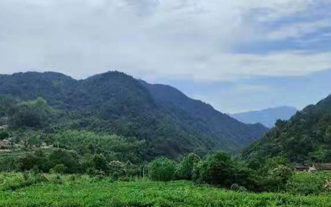 bbin·宝盈游戏(中国集团)官方网站首页