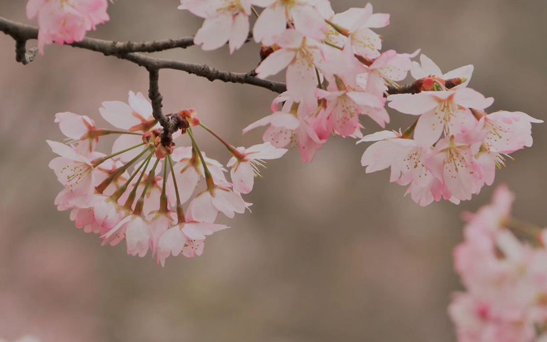 bbin·宝盈游戏(中国集团)官方网站首页