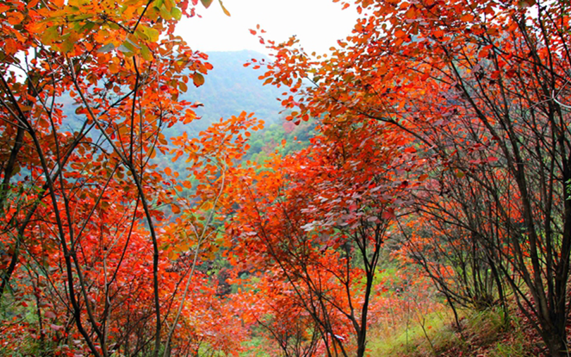 bbin·宝盈游戏(中国集团)官方网站首页