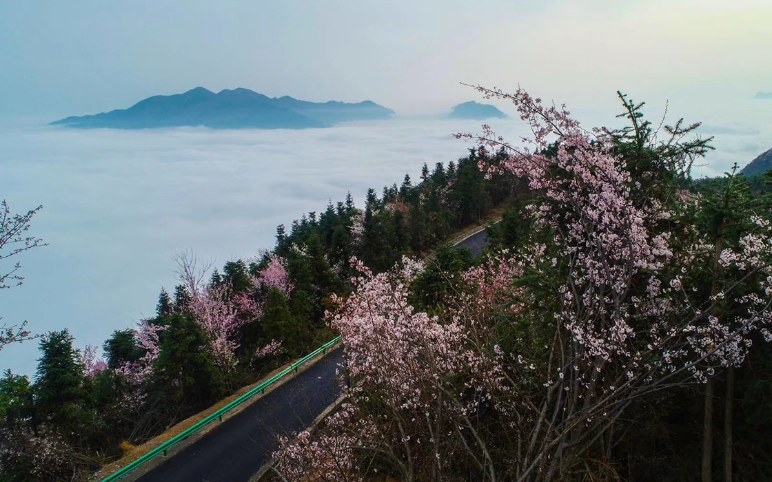 bbin·宝盈游戏(中国集团)官方网站首页