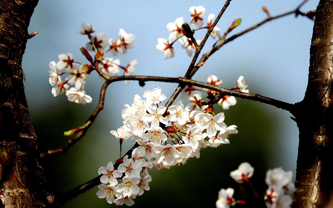 bbin·宝盈游戏(中国集团)官方网站首页