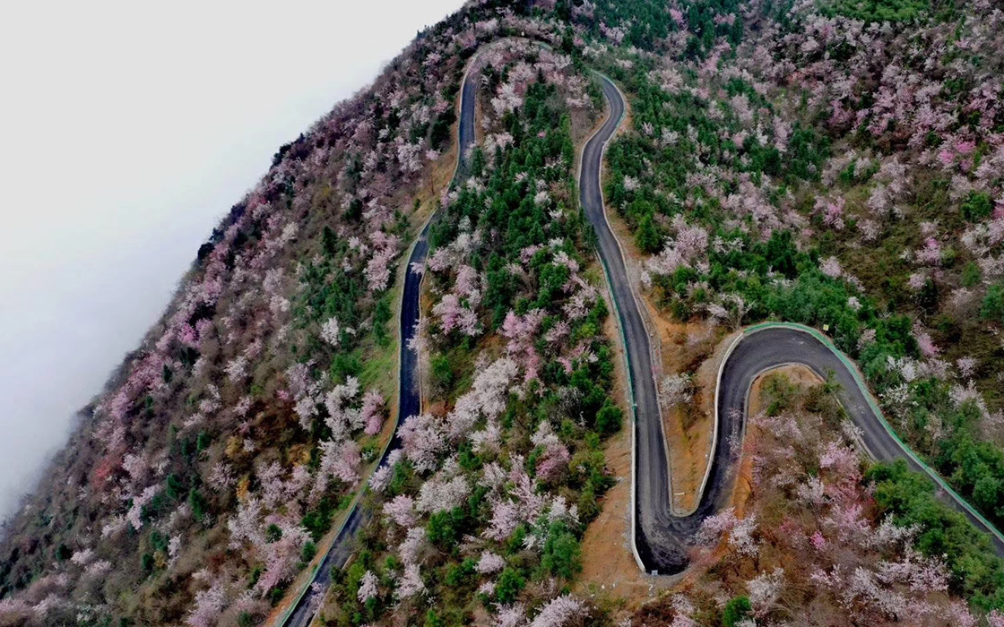 bbin·宝盈游戏(中国集团)官方网站首页