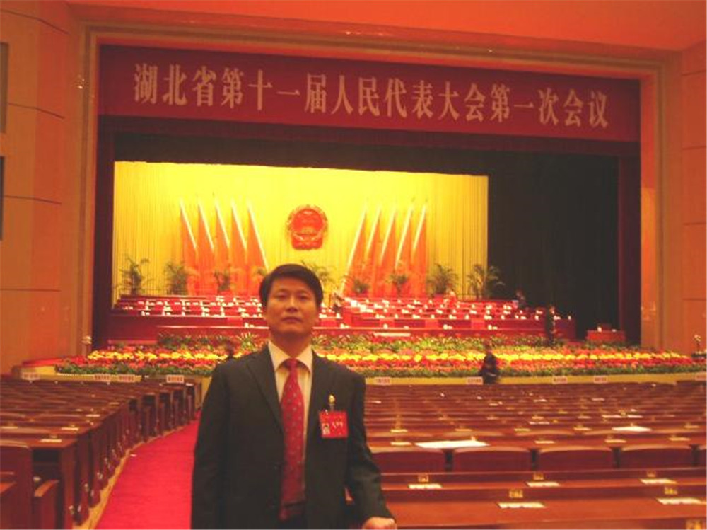 18董事长刘雁飞出席湖北省人大聚会